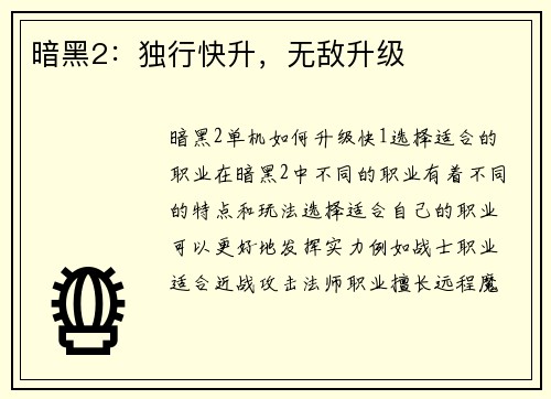 暗黑2：独行快升，无敌升级