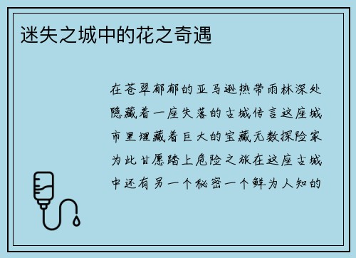 迷失之城中的花之奇遇